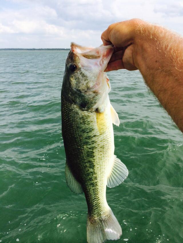 Crappie Lake Fork Resort