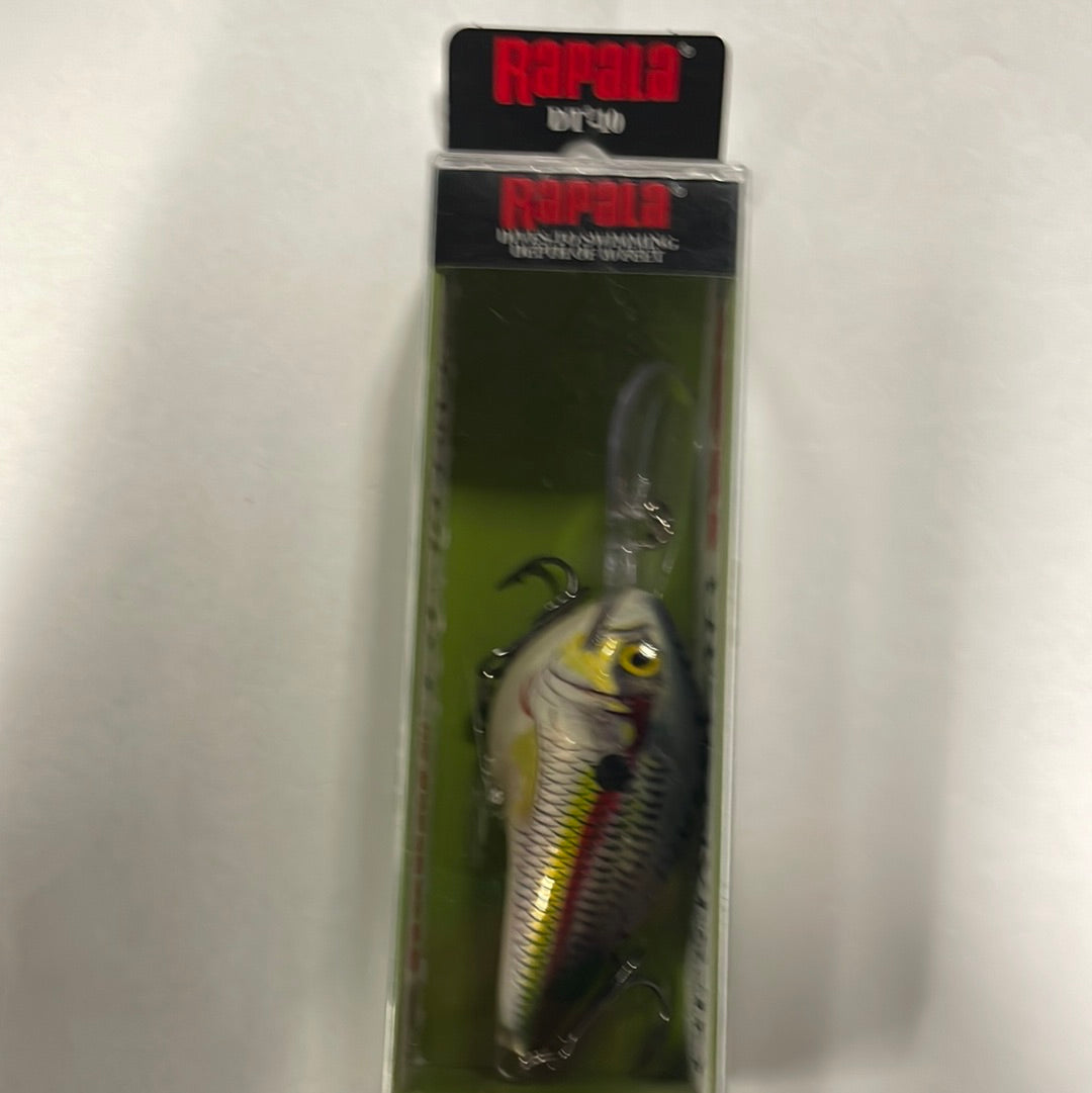 Rapala DT-10 Crankbait - Shad