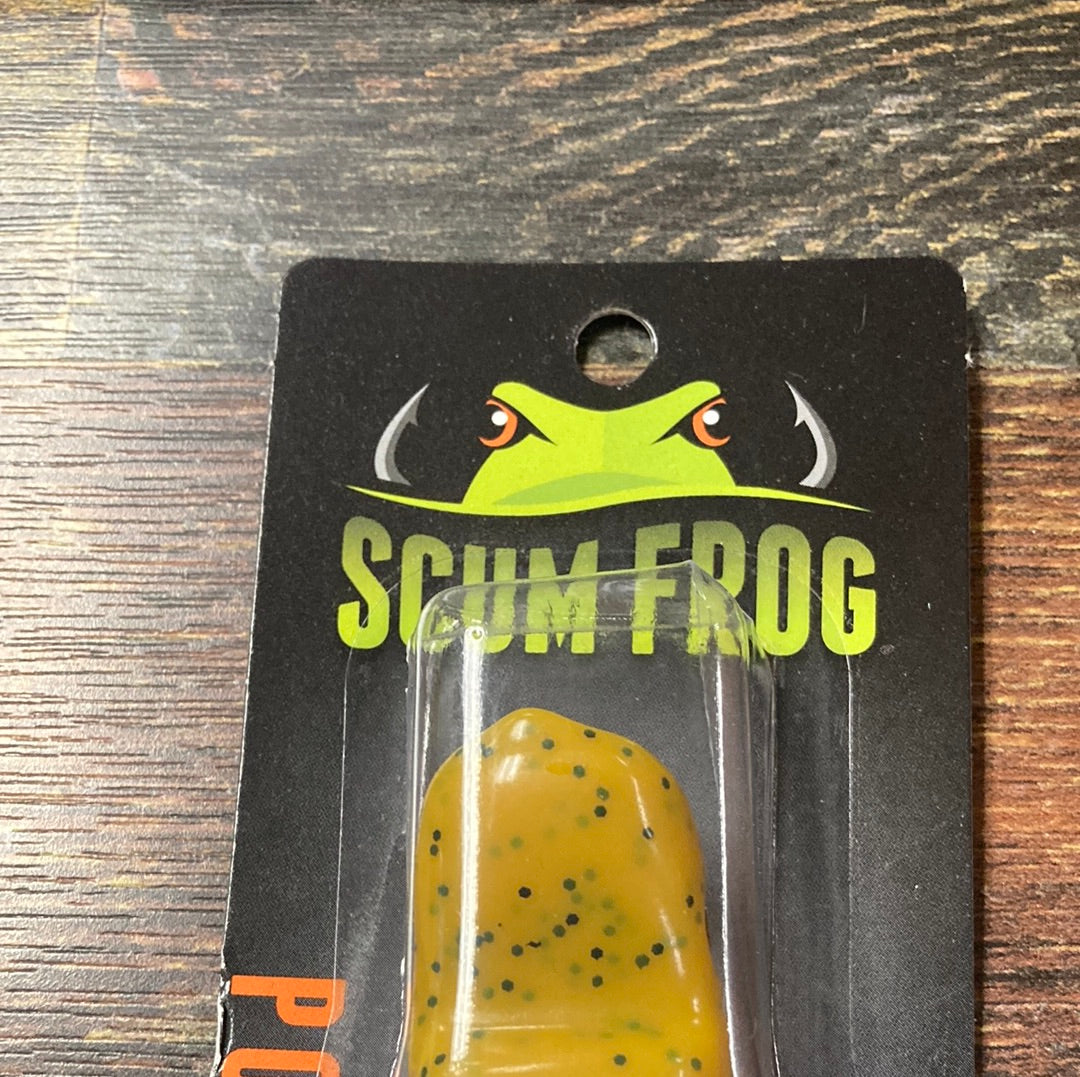 Scum Frog - Pumpkin Seed