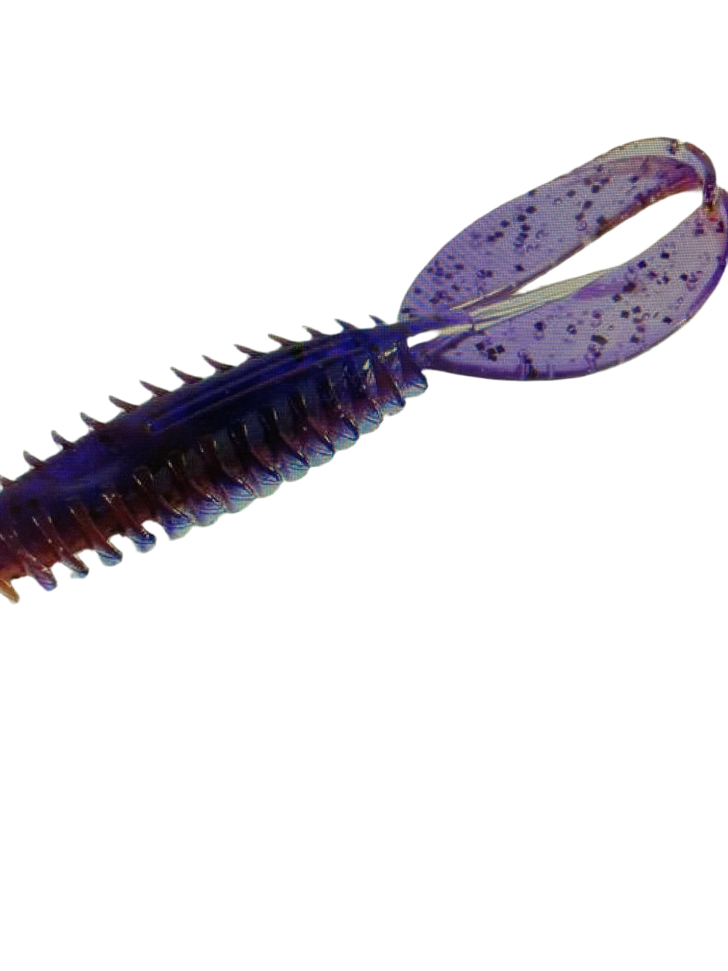 Zoom Z Craw Jr. - PB&J