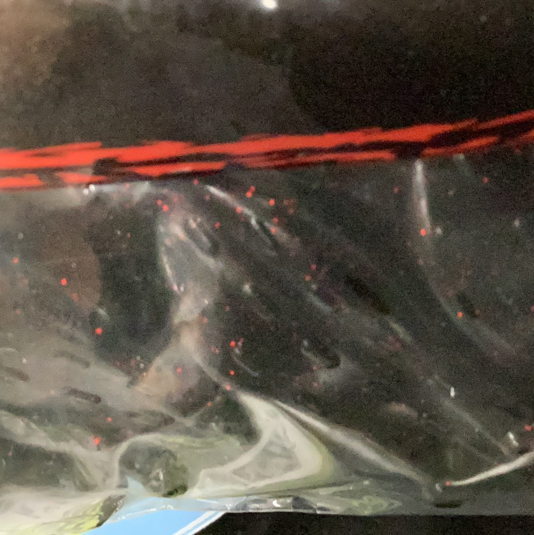 V&M Bayou Bullfrog - Watermelon Red