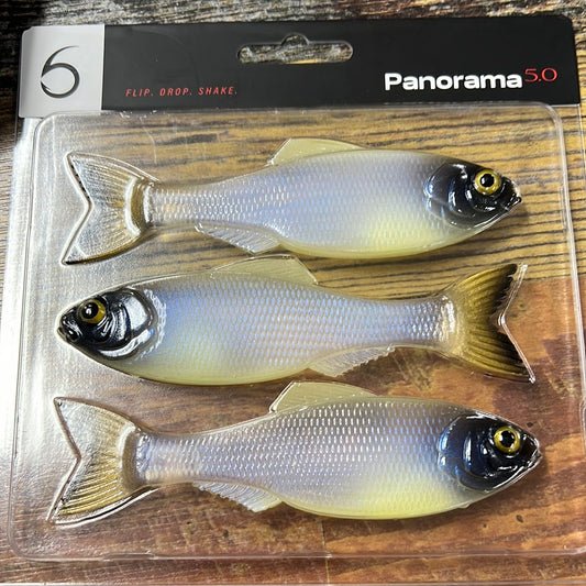 6th Sense Panorama 5.0" Ghost Bone