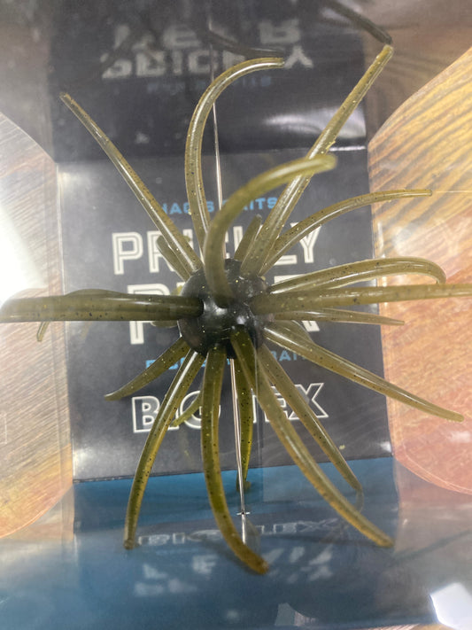 Hags Prickly Pear Big Tex 25mm Hags Pumpkin Limit 4 Total Per Order.